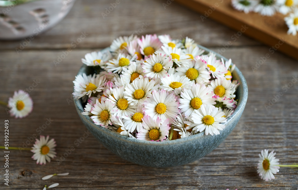 Common daisy flowers in a bowl Common daisy flowers in a bowl