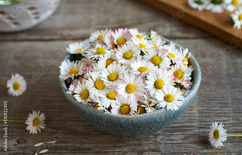 Common daisy flowers in a bowl