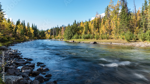 Φωτογραφία Stunning boreal forest views in northern Canada during fall, autumn with golden colors covering the landscape surrounding flowing river