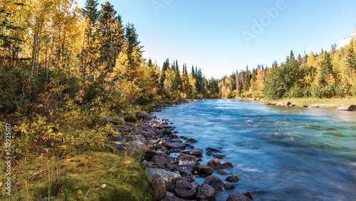 Photos Stunning boreal forest views in northern Canada during fall, autumn with golden colors covering the landscape surrounding flowing river