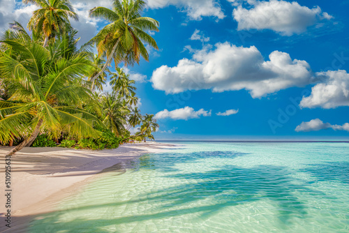 Beautiful tropical island beach, seaside, paradise coast with coconut palm trees white sand, idyllic blue sky. Sea lagoon, horizon relaxing nature background, summer beach landscape holiday vacation