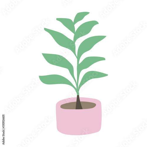tree isolated on white background
