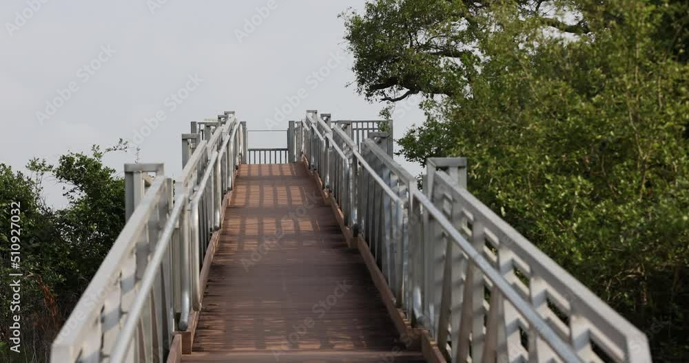 Wildlife boardwalk Texas coast. Aransas National Wildlife Refuge is the wintering home of the last wild flock of endangered whooping cranes. Animals and bird of many species habitats the coastal park. Wildlife boardwalk Texas coast. Aransas National Wildlife Refuge is the wintering home of the last wild flock of endangered whooping cranes. Animals and bird of many species habitats the coastal park.