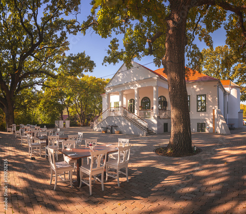 Nice restaurant with giant oak trees in Hungary © Horváth Botond