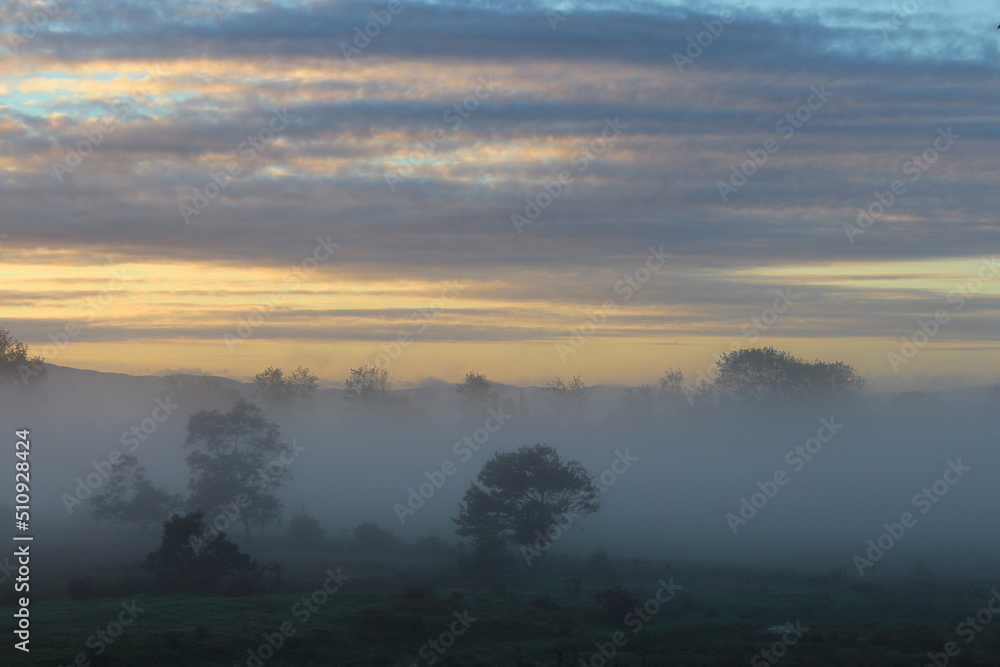 Fototapeta premium New Zealand, Neuseeland, North Island, Nordinsel, Te Kauwhata, Nebel, Fog, Mist