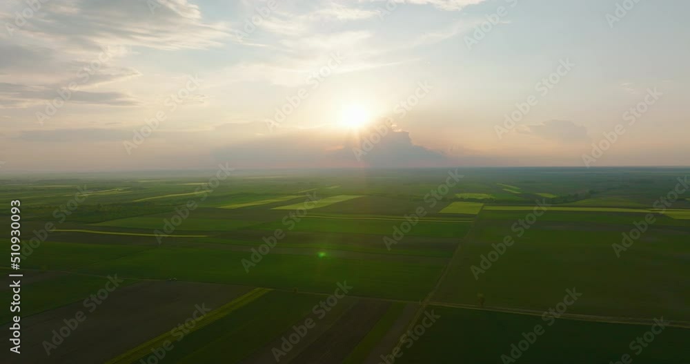 Drone shot hight above wheat fields at sunset. Drone shot hight above wheat fields at sunset.
