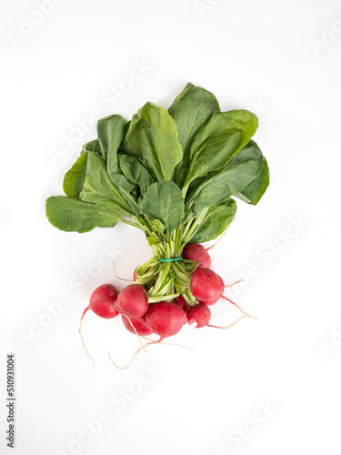 Bunch of radishes with green leaves, isolated. Spring vegetables on white background. Packshot photo for package design
