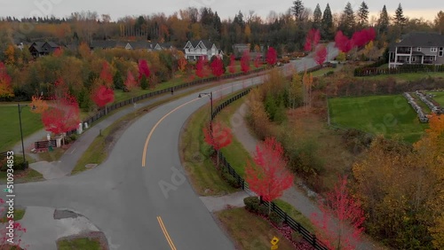 Neighborhood with trees 3