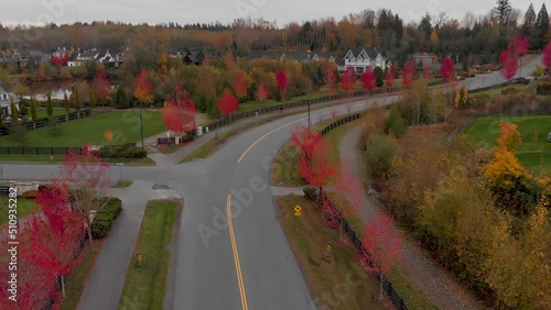 Neighborhood with trees 1