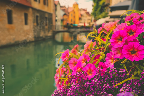 Selective focus on pink flowers with Anney town on the back, France