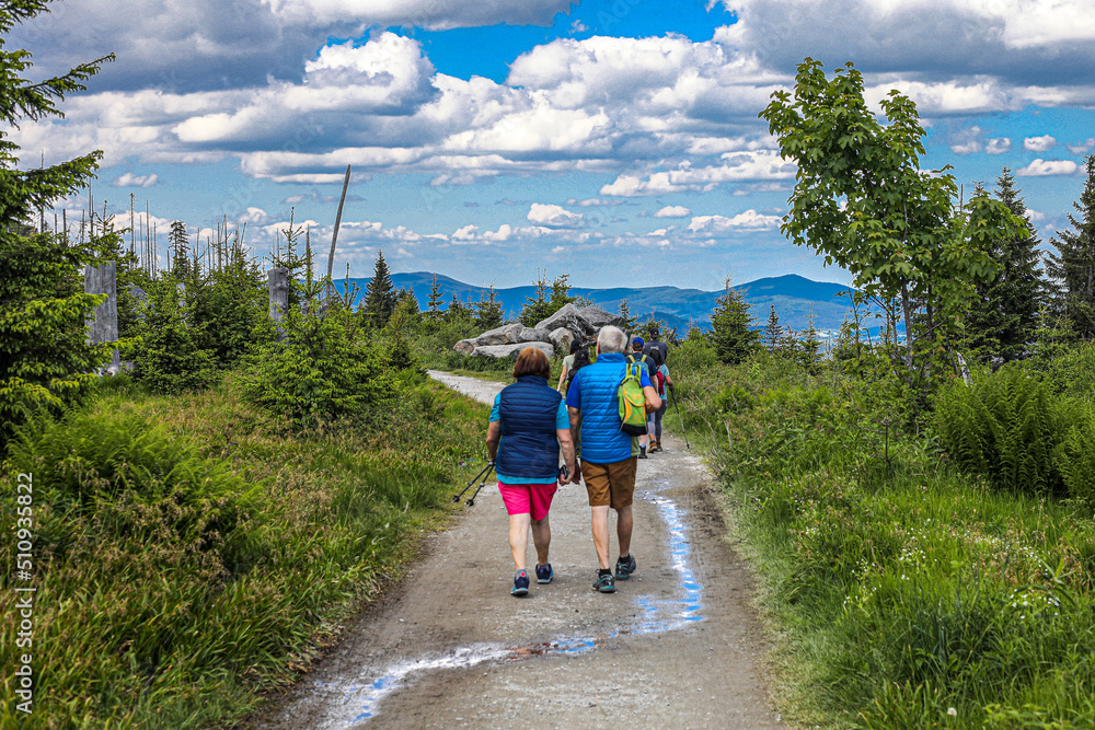 Obraz premium Rund um den Dreisesselber im Bayerischen Wald, Wanderer