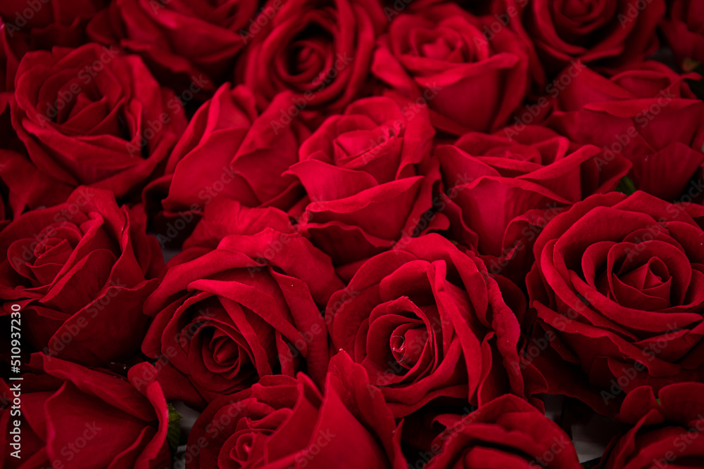 Fototapeta premium red roses background