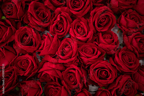red roses background. Mother day. Love concept. 