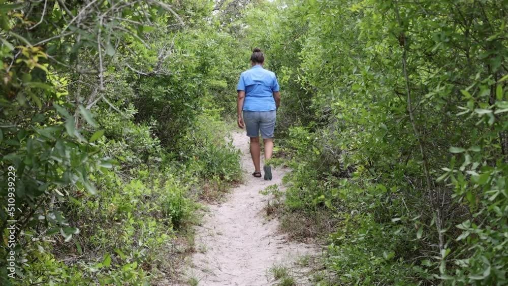 Woman walking down mountain trail forest trees. Aransas National Wildlife Refuge wintering home of the last wild flock of endangered whooping cranes. Driving and walking environmental trails. Woman walking down mountain trail forest trees. Aransas National Wildlife Refuge wintering home of the last wild flock of endangered whooping cranes. Driving and walking environmental trails.