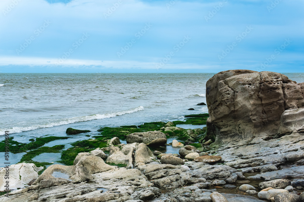 coast of the Caspian Sea with coastal rocks and stones covered with algae