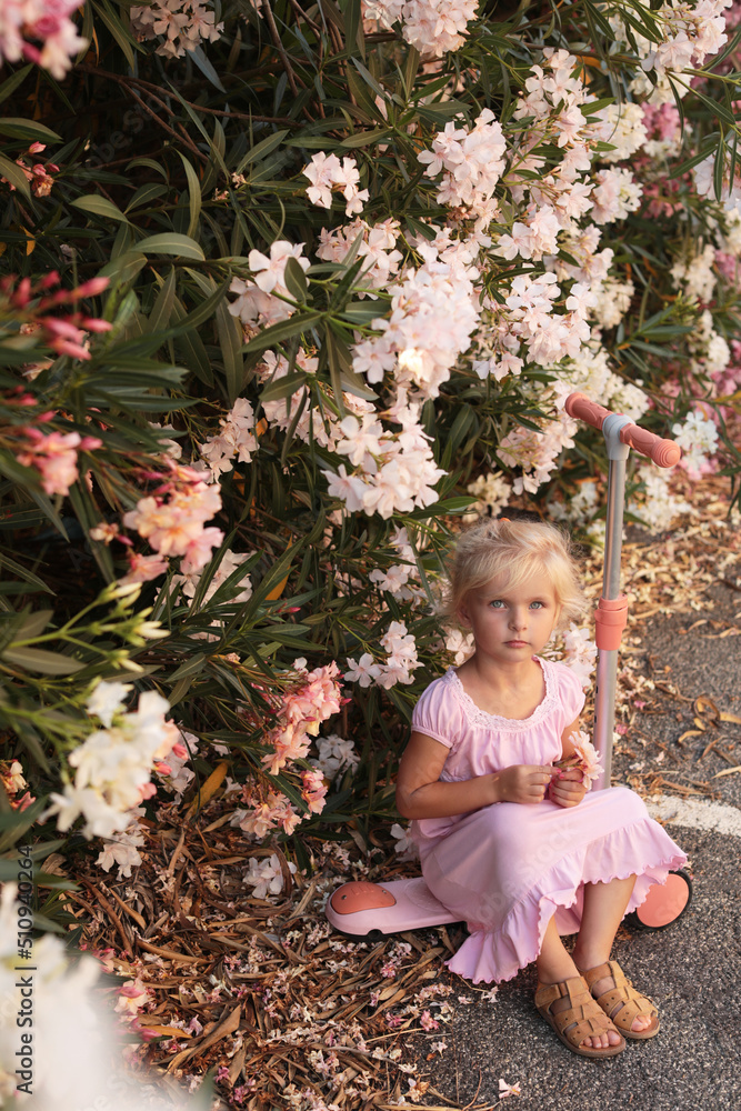Child girl in pink summer dress sitting on a pink kick scooter near bushes of oleander nerium in bloom flowers of pink and white colors