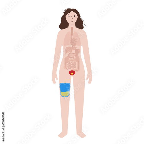 Urinary drainage bag