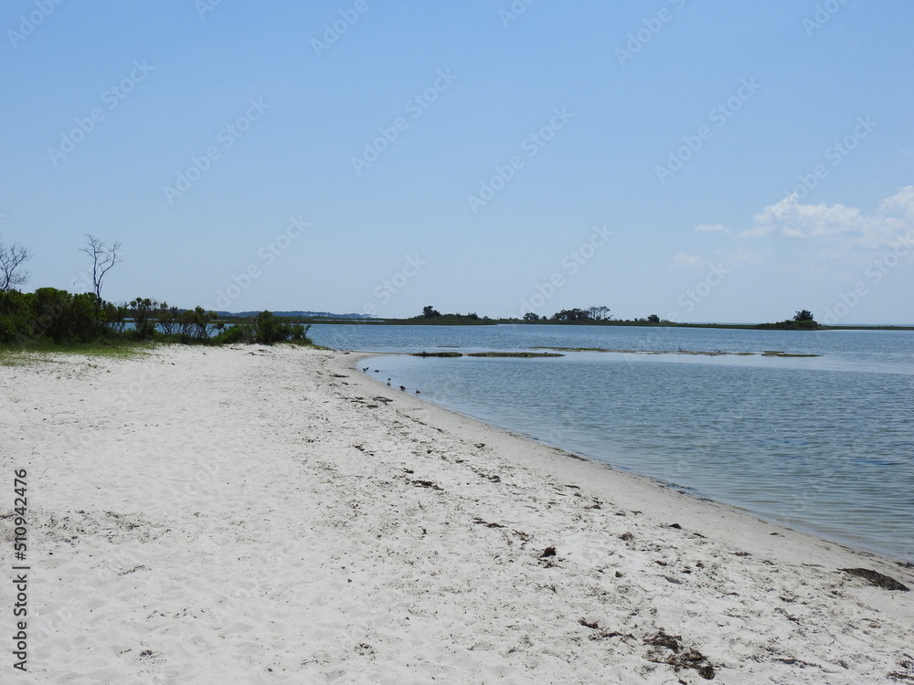 The natural beauty of the shores on the bayside of Assateague Island, in Worcester County, Maryland.