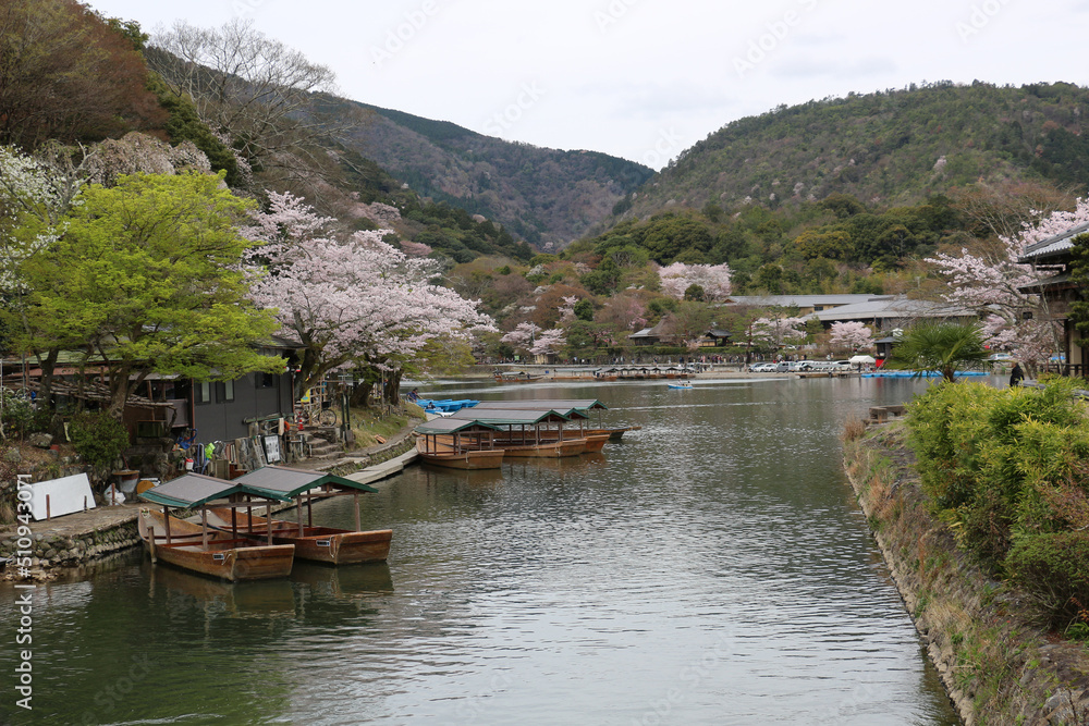 Overlooking the beautiful Katsura River in Kyoto in the spring.