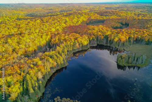Aerial shot of ponds & forests in autumn