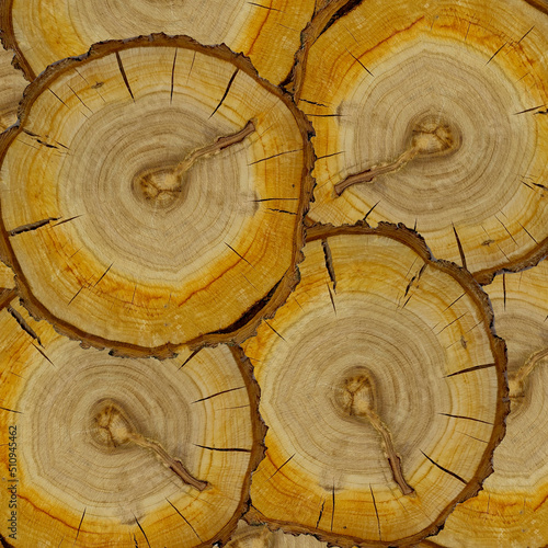 circular piece of wood cross section with tree ring texture pattern