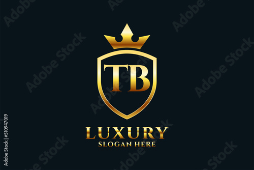 initial TB elegant luxury monogram logo or badge template with scrolls and royal crown - perfect for luxurious branding projects