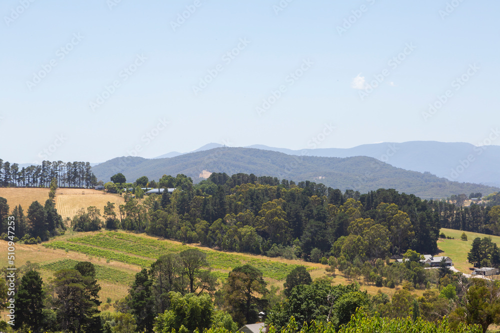 A mountain landscape in the Yarra Valley in Melbourne, Victoria