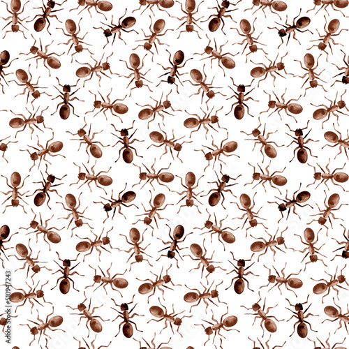 Watercolor illustrated ants in brown color. Hand painted insects pattern © mimibubu