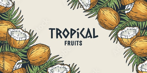 Summer coconut poster. Tropical fruits with palm leaves