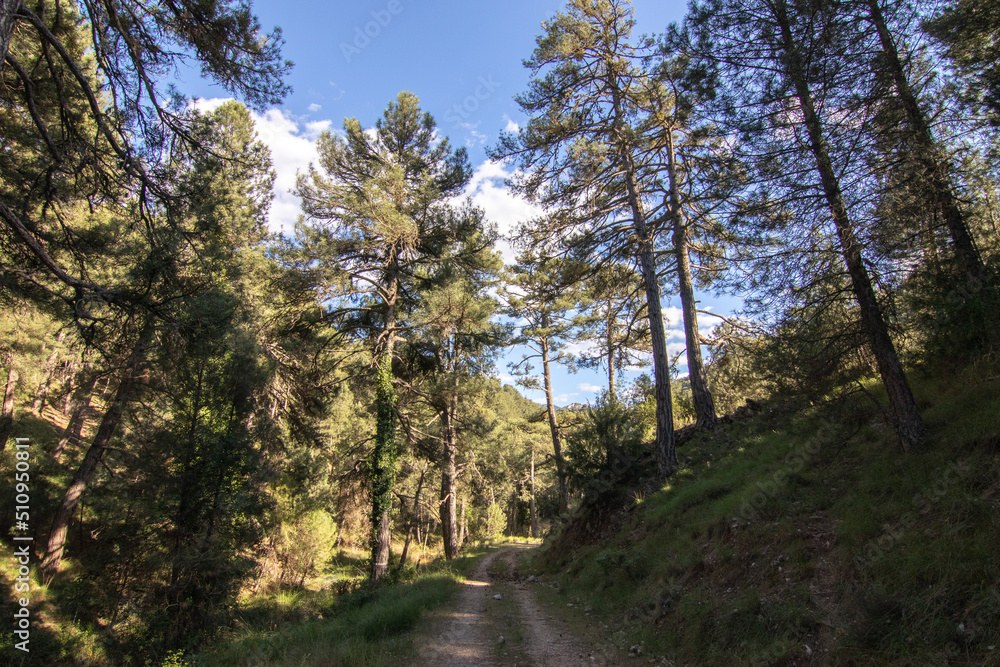 Trails with wonderful views of the Sierra De Cazorla, Spain. Nature tourism concept. Trails with wonderful views of the Sierra De Cazorla, Spain. Nature tourism concept.