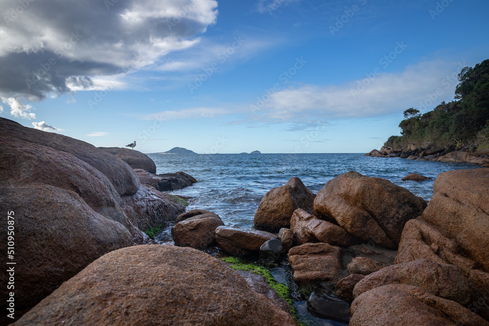 beach and rocks in brazil