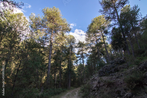 Trails with wonderful views of the Sierra De Cazorla  Spain. Nature tourism concept.