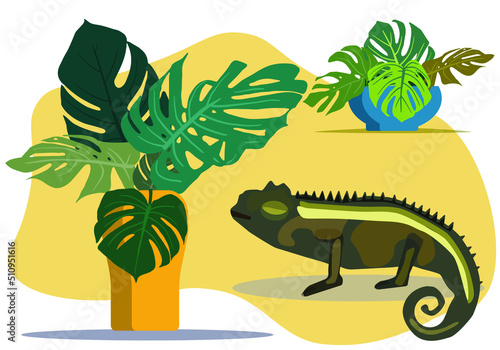 Cute chameleon with monstera leaves. Set of wild chameleon and monstera in a vase