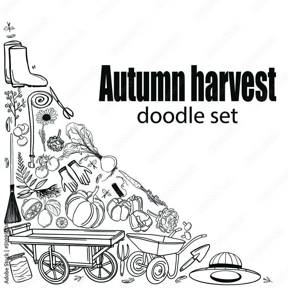 autumn harvest doodle set. Hand-drawn illustration. line art of vegetables and garden tools.