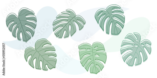 Liście monstery - 6 liści i elementy tła, Kontury i wypełnienia egzotycznej rośliny. Zielone liście. Ilustracja wektorowa.