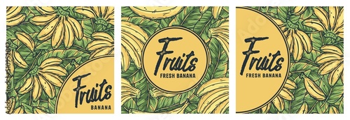Set of bananas fruit summer poster with text area. Tropical flowers and leaves
