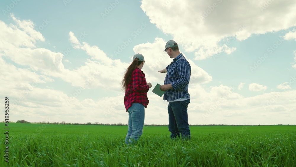 Teamwork of business people in agriculture. Farmers woman, man with computer tablet are working on green wheat field, discussing harvest, grain sprouts. Smart farming with online management software