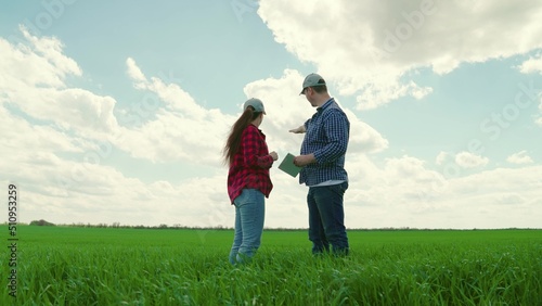 Teamwork of business people in agriculture. Farmers woman, man with computer tablet are working on green wheat field, discussing harvest, grain sprouts. Smart farming with online management software