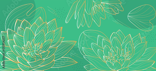 Beautiful waterlily flowers on color background