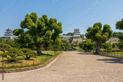 初夏の明石公園