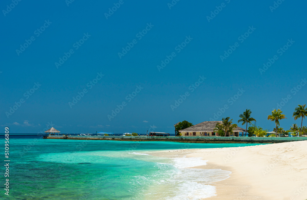 Perfect tropical island Maldives paradise beach Beautiful palm trees and tropical beach Perfect tropical island Maldives paradise beach Beautiful palm trees and tropical beach