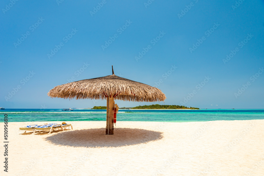 Perfect tropical island Maldives paradise beach Beautiful palm trees and tropical beach