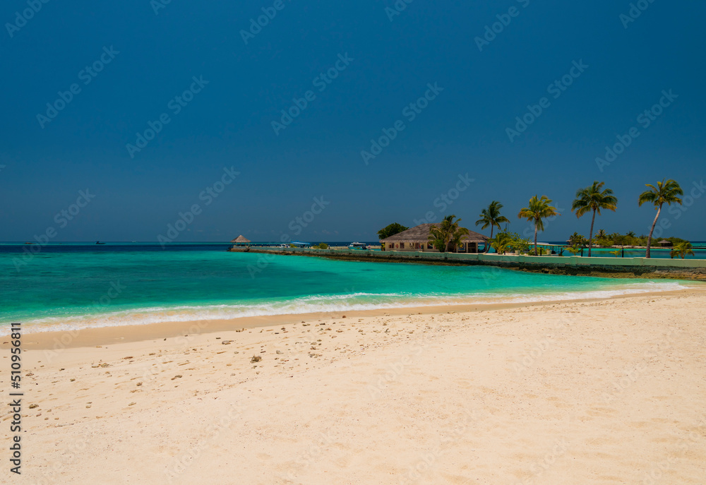 Perfect tropical island Maldives paradise beach Beautiful palm trees and tropical beach
