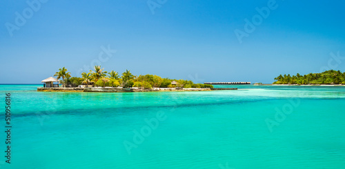 Perfect tropical island Maldives paradise beach Beautiful palm trees and tropical beach © allouphoto