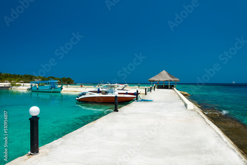 Perfect tropical island Maldives paradise beach Beautiful palm trees and tropical beach