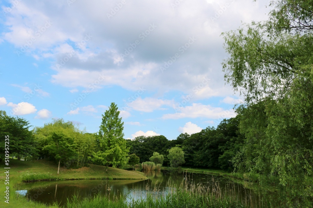 新緑に癒される 初夏の風景 爽やかな日 古河 新緑に癒される 初夏の風景 爽やかな日 古河