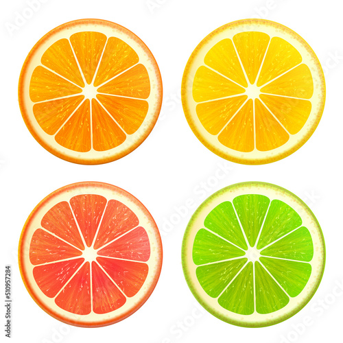 Fresh citrus fruits slices set. Orange grapefruit lemon lime top view isolated realistic vector illustration EPS10
