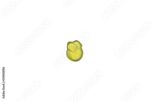 Apple shaped jelly candy on white background. 
Jelly candy isolated on white background.  photo