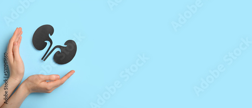 Tableau sur toile Hands and paper kidneys on light blue background with space for text