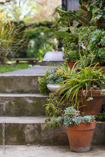 Flower pots with different succulents on a stone staircase in an old garden on a spring day